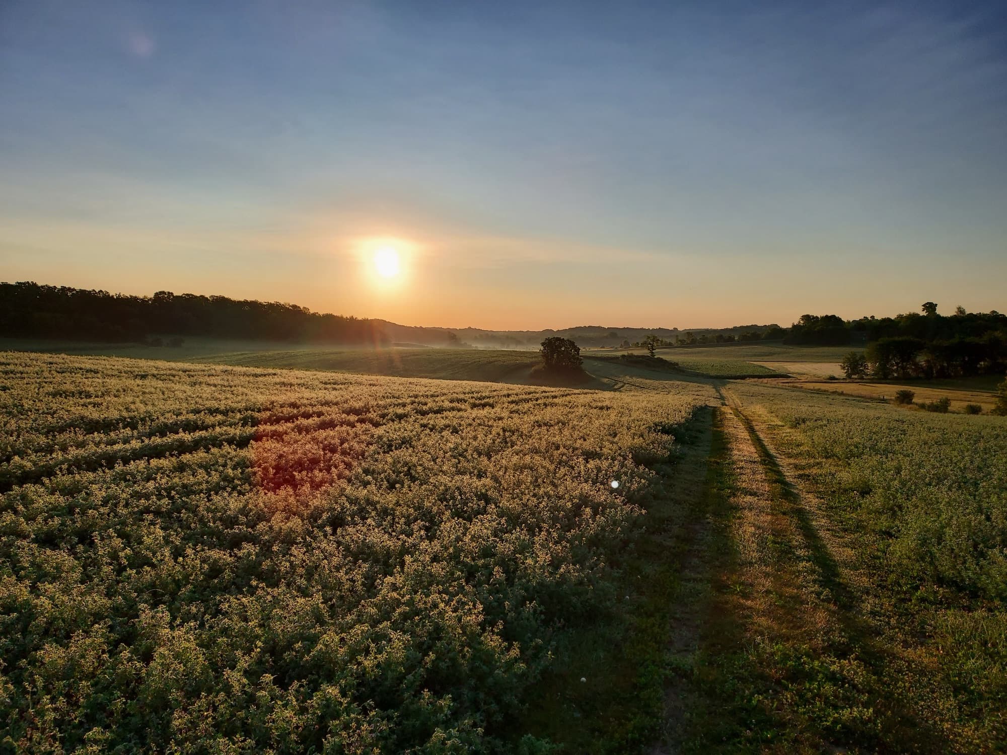Grazeful Acres farm in Wisconsin